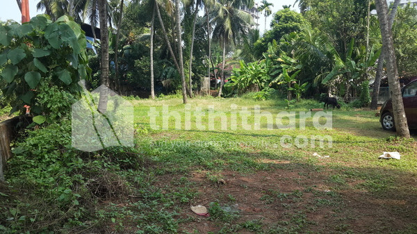Residential land for sale in Athani