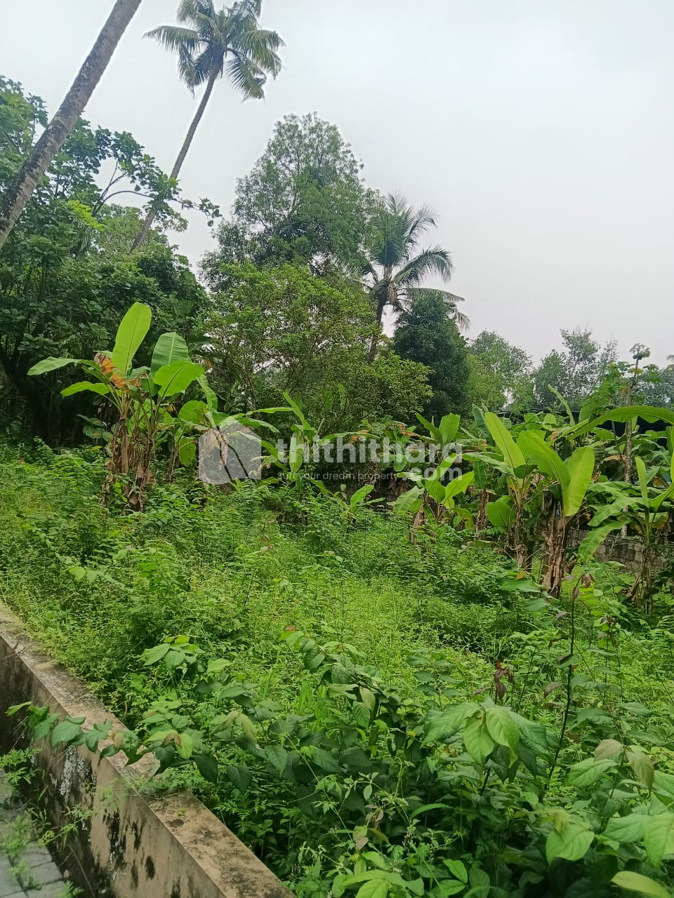 Residential Land Available for Sale in Perumbavoor Ernakulam