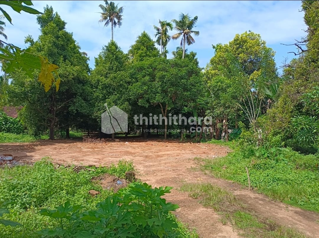 House Plots for Sale in Puthenchira, Irinjalakuda, Thrissur