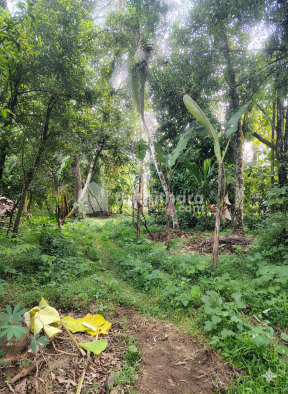 Residential Land Available for Sale in Thiruvathukkal Kottayam