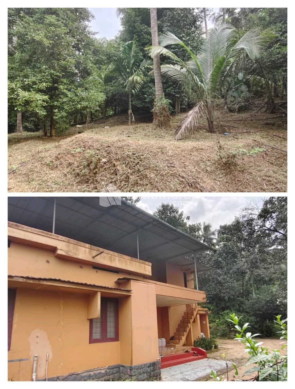 Residential Land Available for Sale in Mannarkad Palakkad