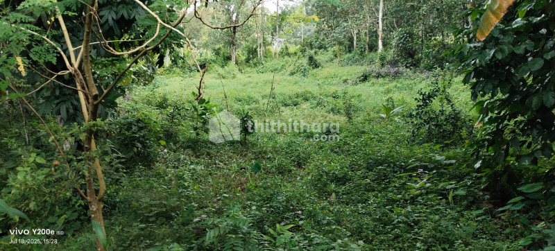 Residential Land Available for Sale in Kozhenchery Pathanamthitta