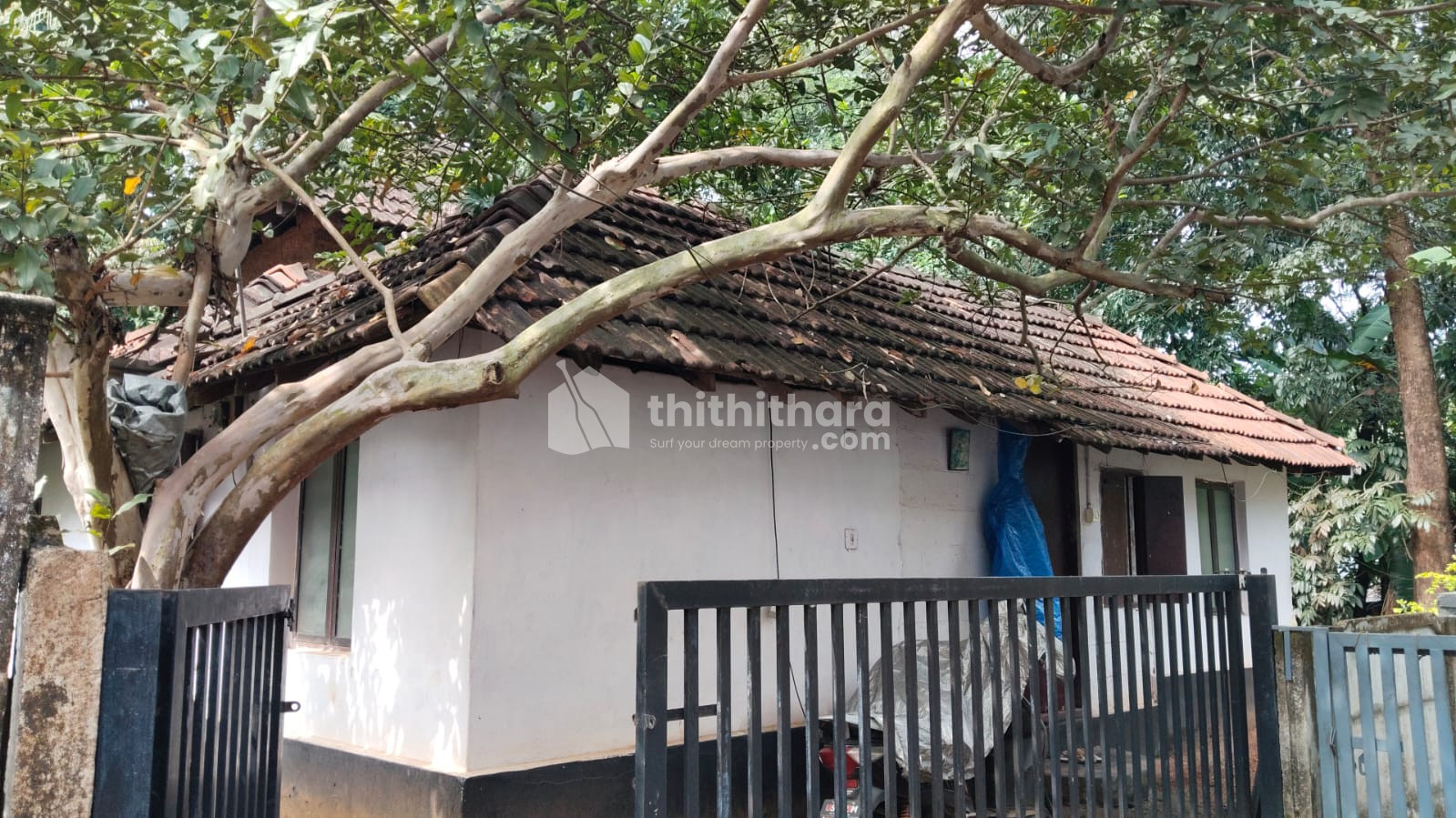 Residential Land Available for Sale in Kuttanallur Thrissur