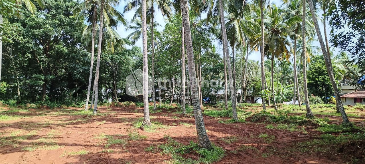 Residential plots in Ramanattukara,150 meters away from the NH 66 Thondayad Bypass