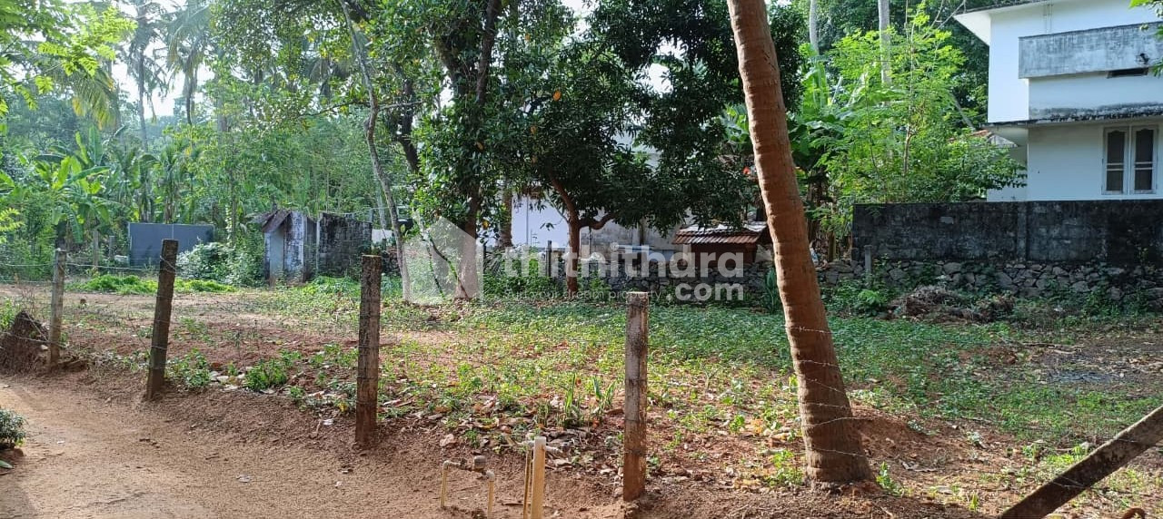 Residential Land Available for Sale in Kongad Palakkad