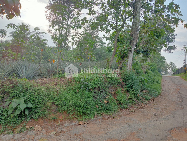 Residential Land Available for Sale in Kunnathunad Ernakulam