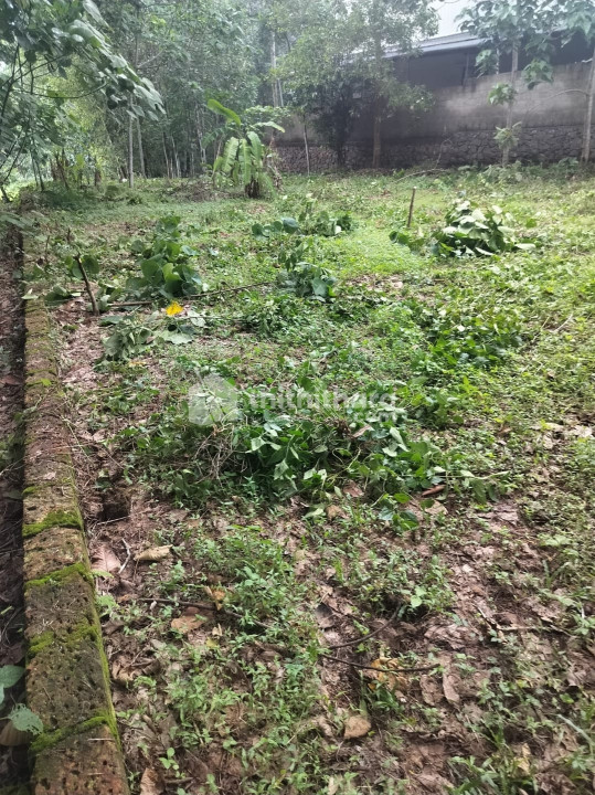 Residential Land Available for Sale in Chottanikkara Ernakulam