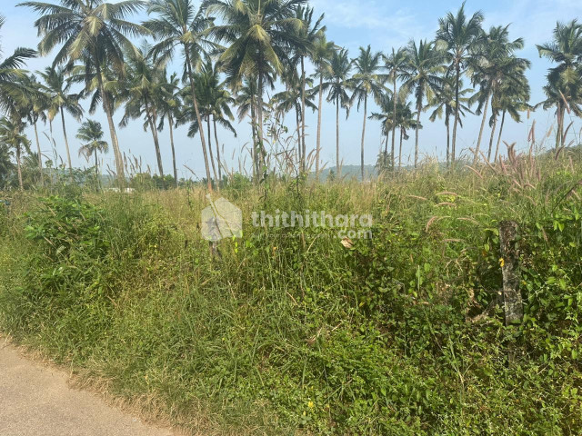Residential Land Available for Sale in Thiroor Thrissur