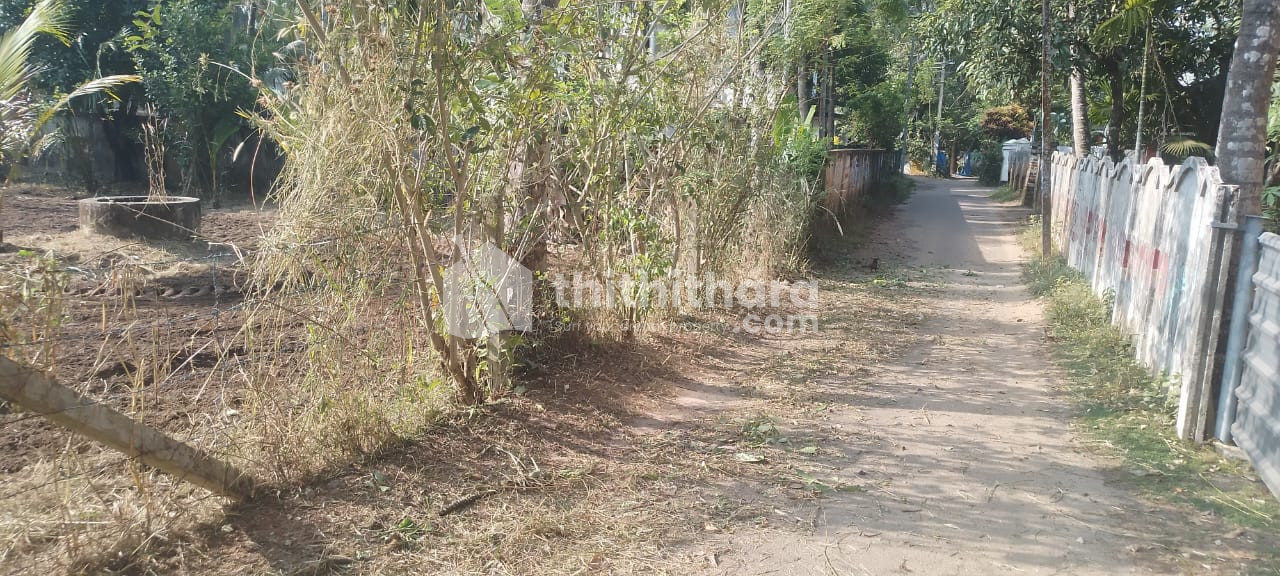 Residential Land Available for Sale at Nattika Thrissur  