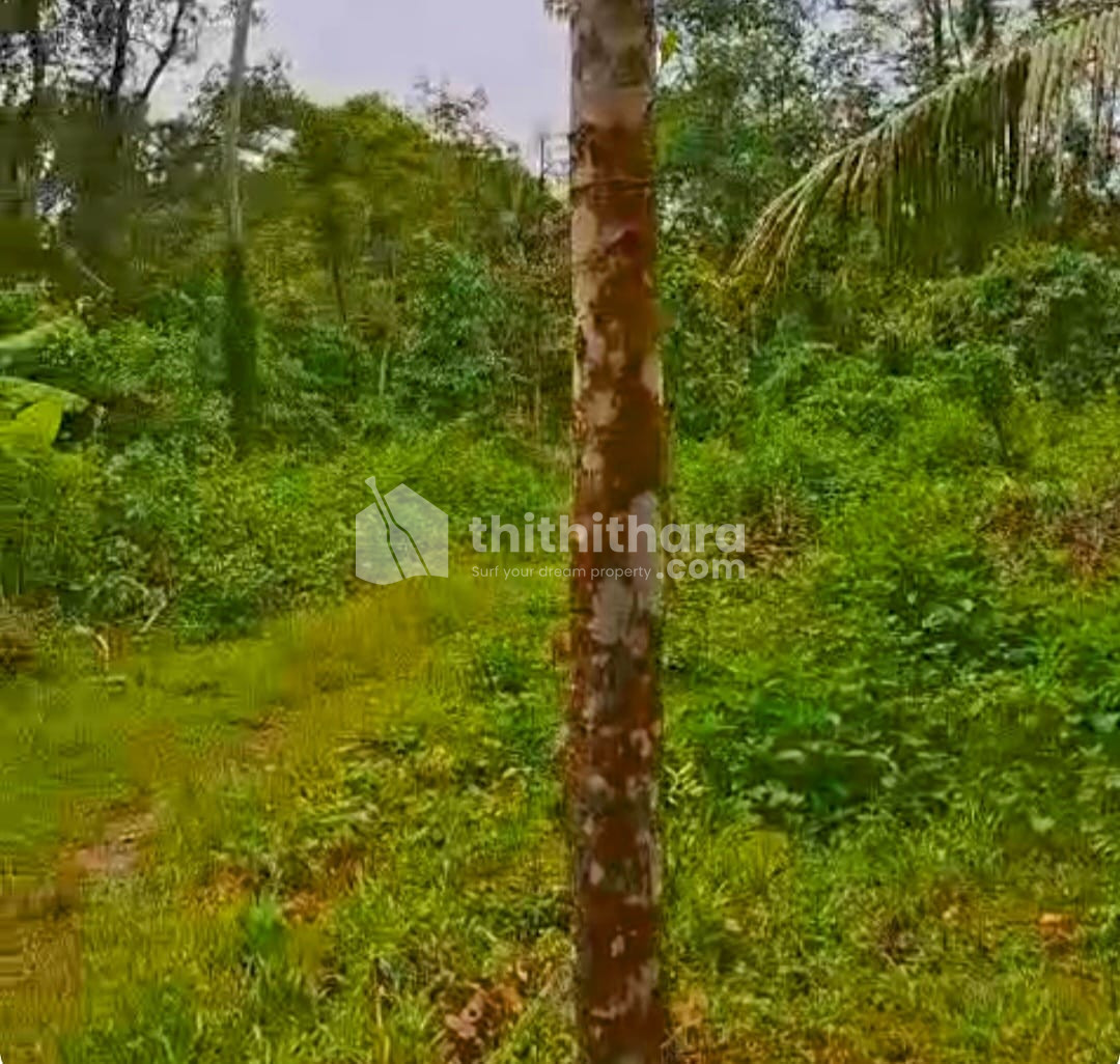 Residential Land Available for Sale in Cherthala Alappuzha