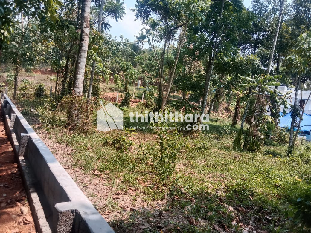Residential Land Available for Sale in Muvattupuzha Ernakulam