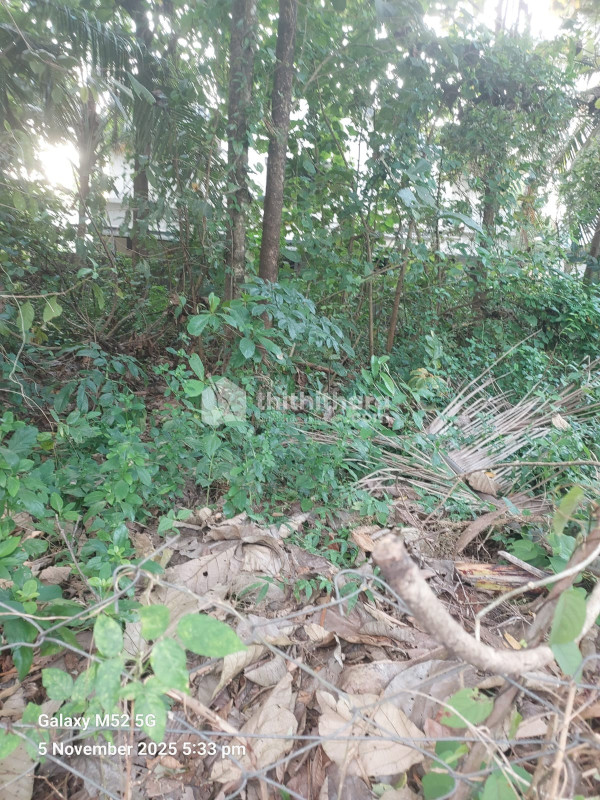 Commercial Plots for Sale in Ottapalam Palakakd 