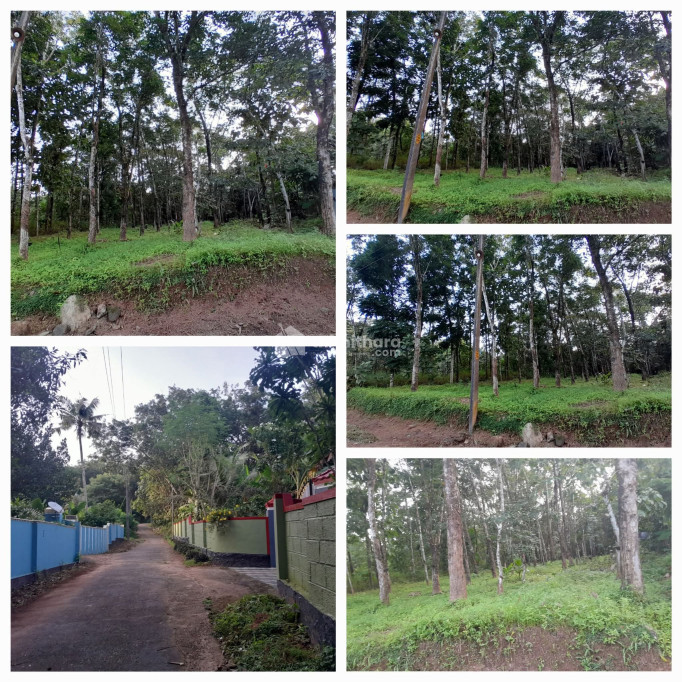 Commercial Plots for sale in Kottarakkara Kollam 