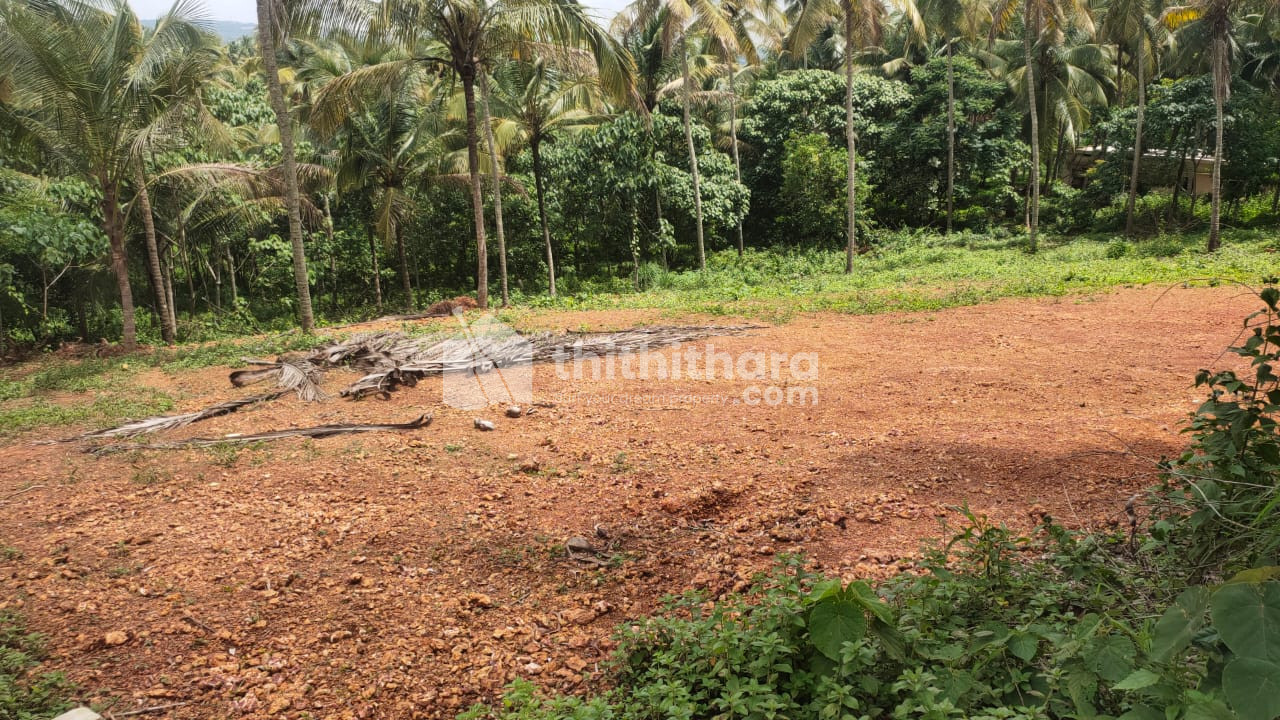 3.36 Acre/ suitable for Villa, house, Resorts, Hospitals, flat, Godown and cotters.