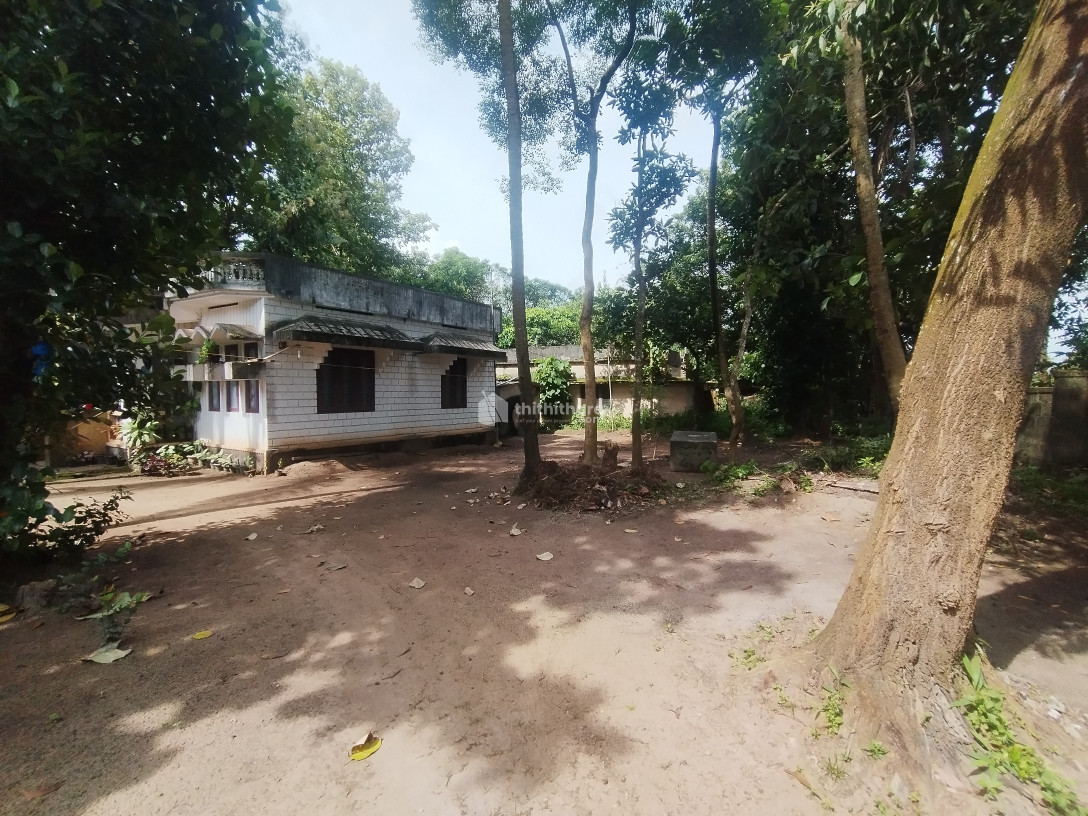 Residential Land Available for Sale in Adichanalloor Kollam 