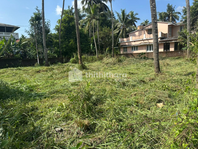 Residential Land for Sale in Kuttanellur Thrissur