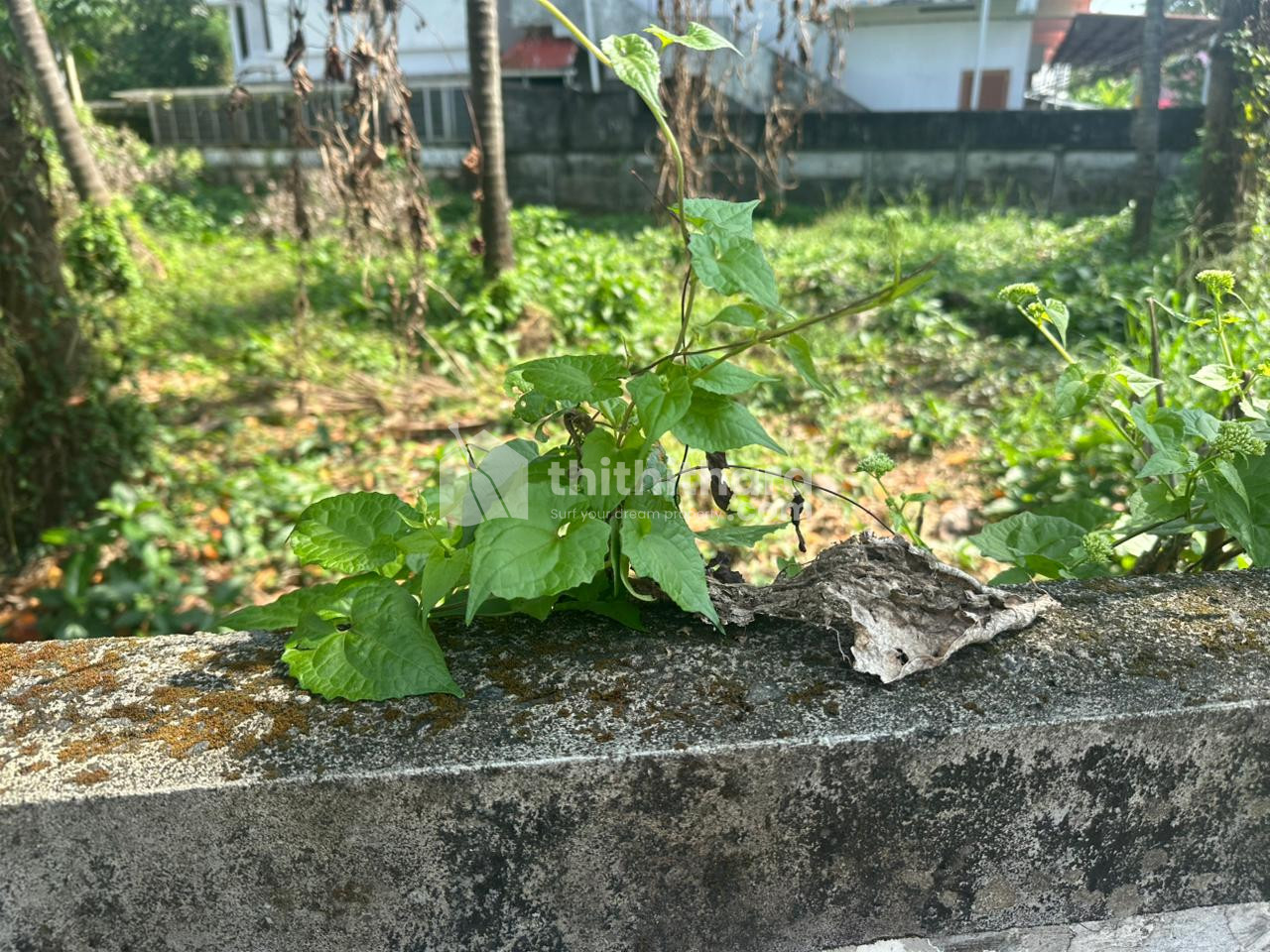 Residential Land Available for Sale in Kalathode Thrissur