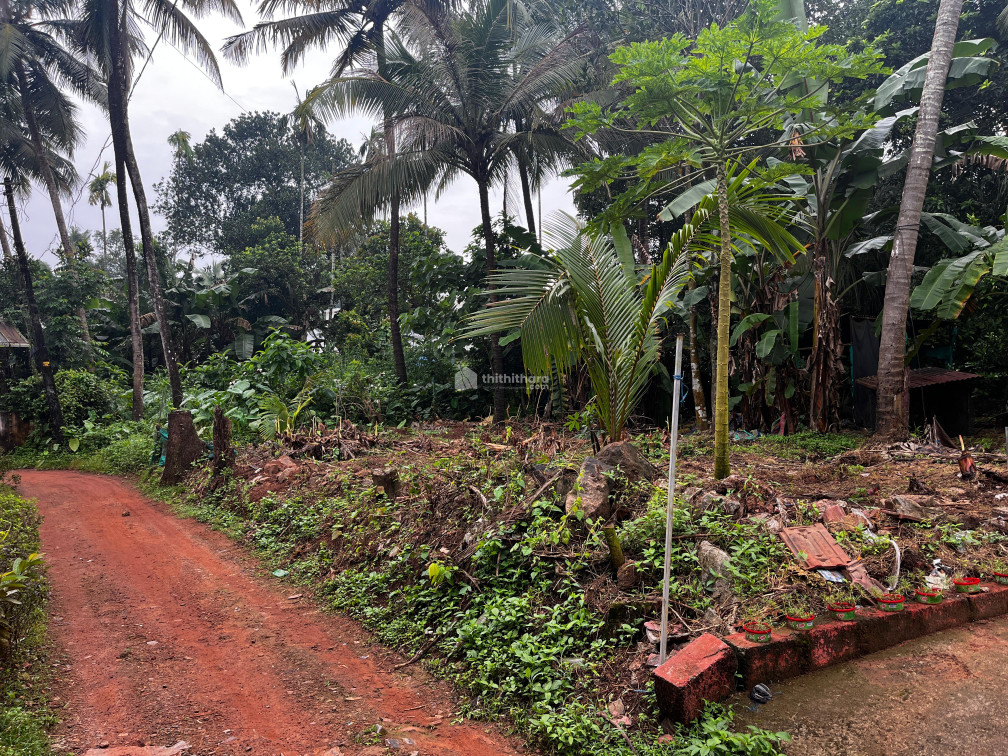 Residential Plot for Sale at Parappur Thrissur