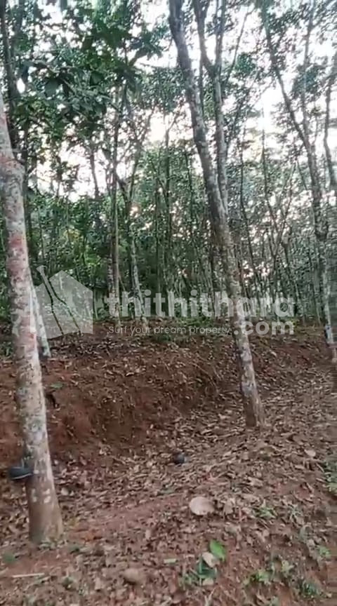 Commercial Plots for sale in Nooranad Alppuzha 