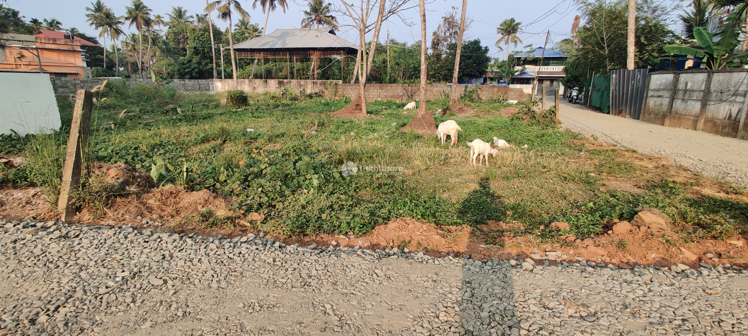 5Cent Residential Land Available for Sale in Cherthala Alappuzha
