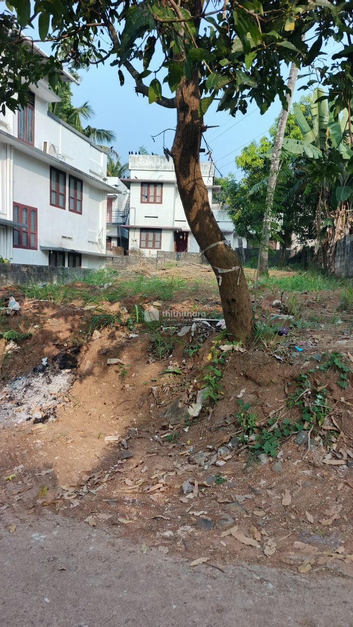 Commercial Plots for Sale in Chalakkuzhi Thiruvananthapuram