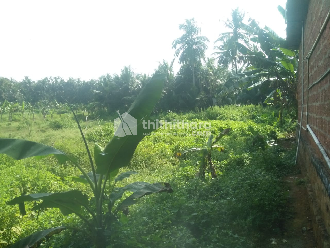 60 cent plot for sale in RAMAPURAM