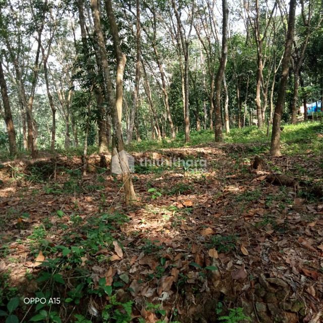 Residential Plot for Sale in Kaduthuruthy Kottayam
