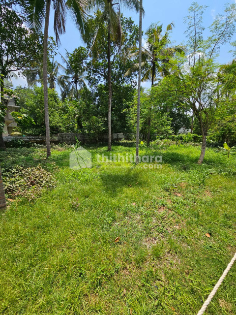 Land for sale in kalathode
