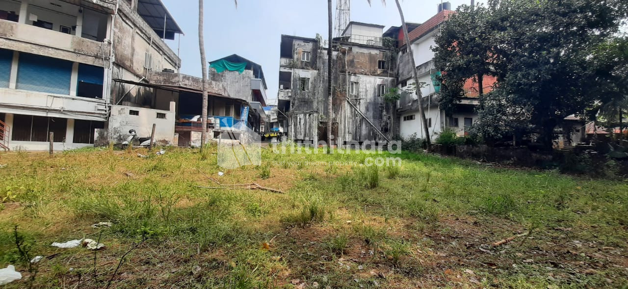Commercial Plot Available for Sale in Kallettumkara Thrissur