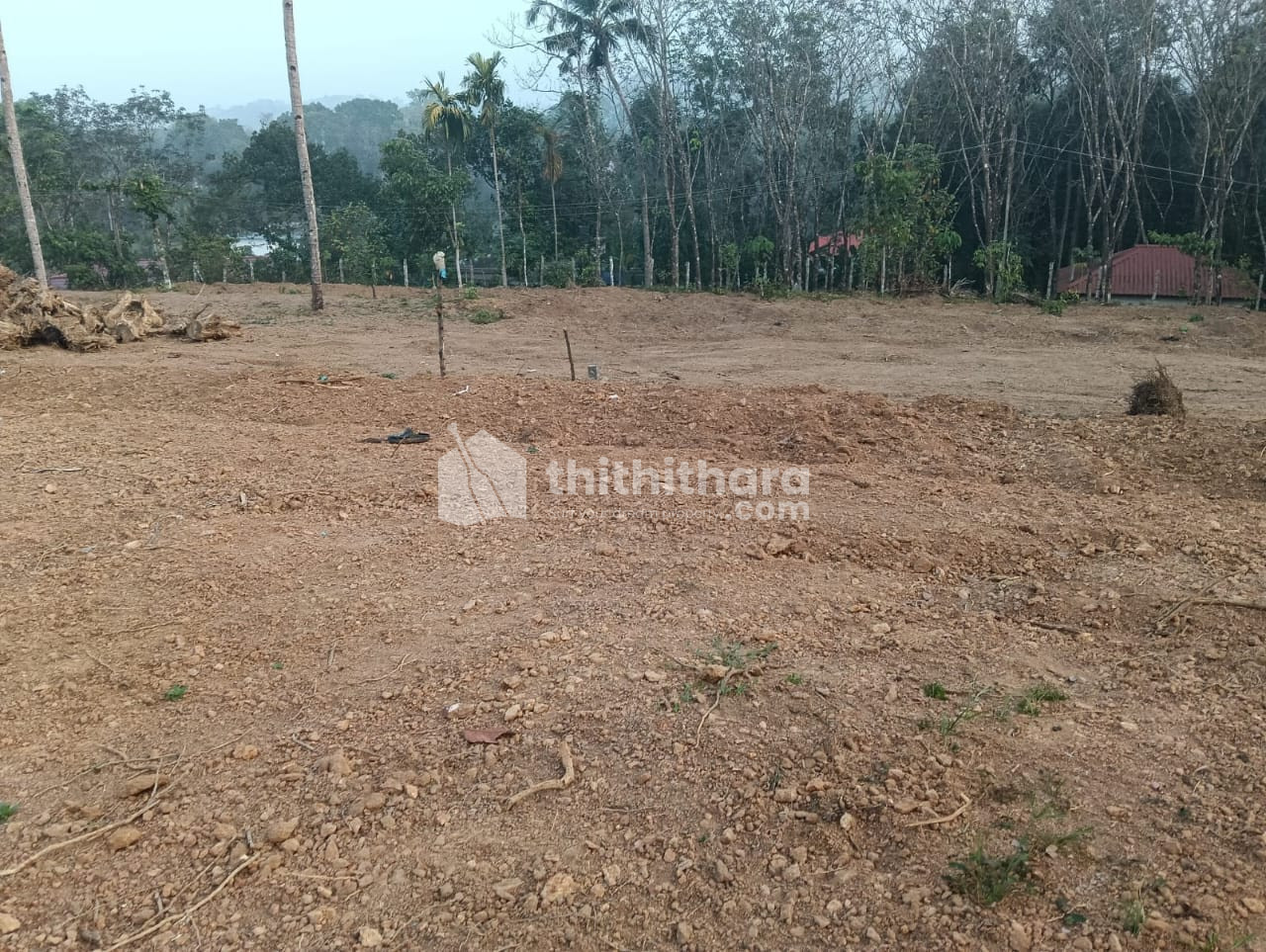 Residential Land for Sale in Kurampala Adoor Pathanamthitta