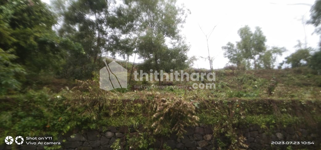 58 cent Residential Land for sale at Dharmasala, Kannur