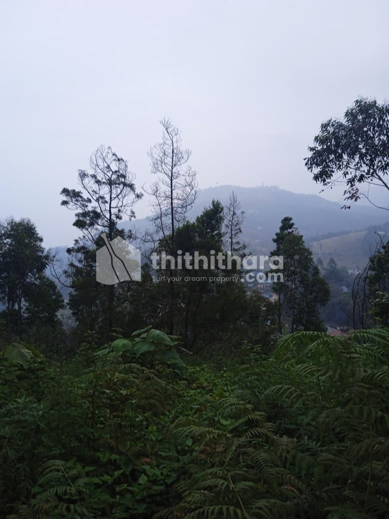 1.35 Acre Residential Land for Sale in Devikulam Idukki