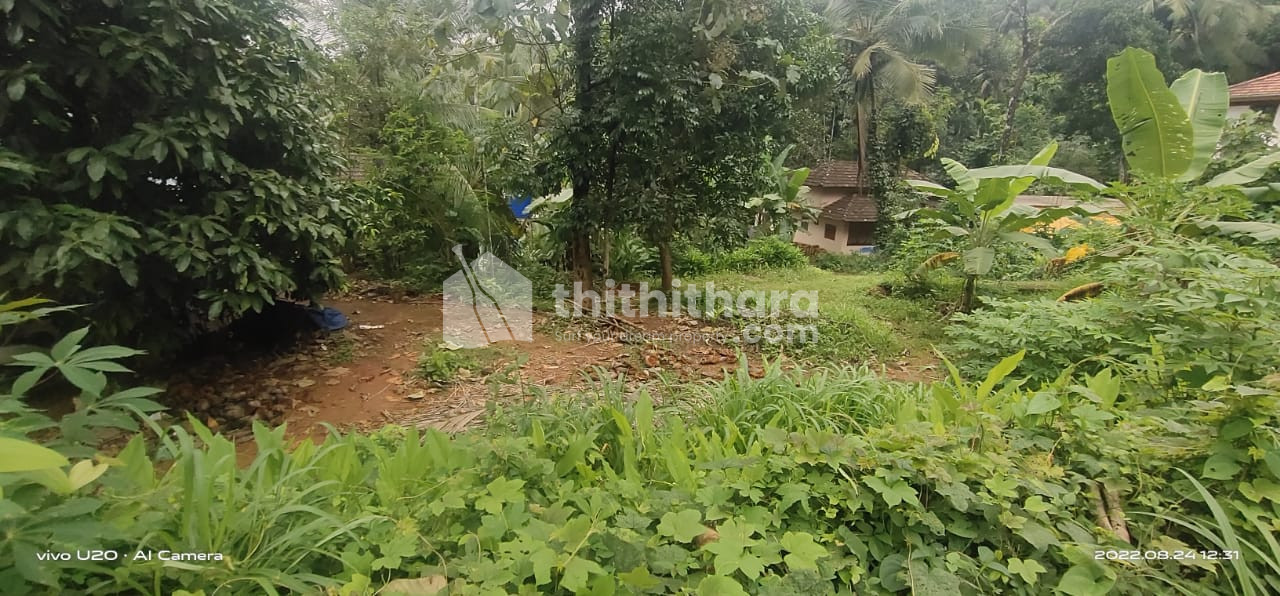 Residential Plot for Sale in Kizhisseri