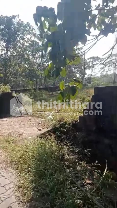 Commercial Plots available for Sale in Aluva Ernakulam