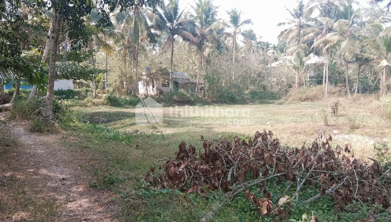 60 Cent Commercial Plots for sale in Kavungal Alappuzha