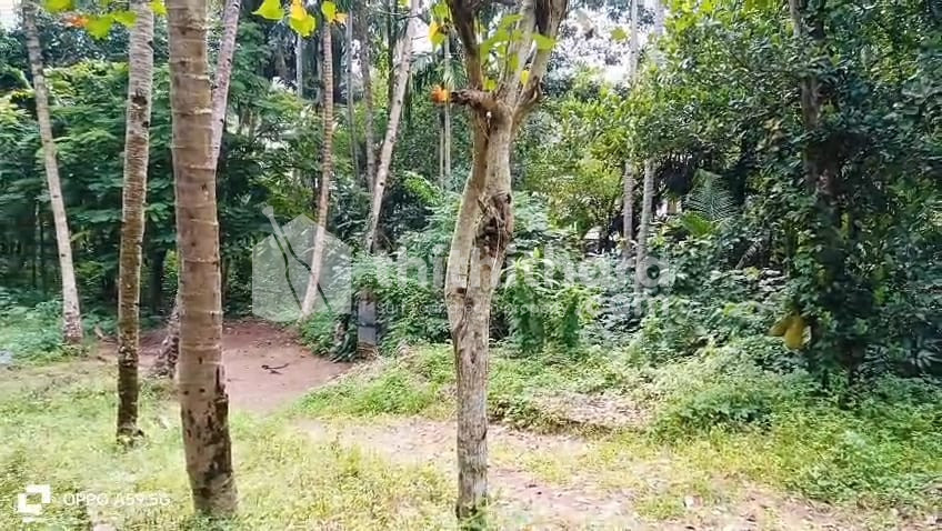 Residential Land available for Sale in Kunnathur Kollam