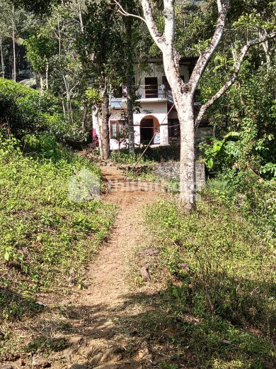 6BHK Independent House for Sale in Peerumade Idukki
