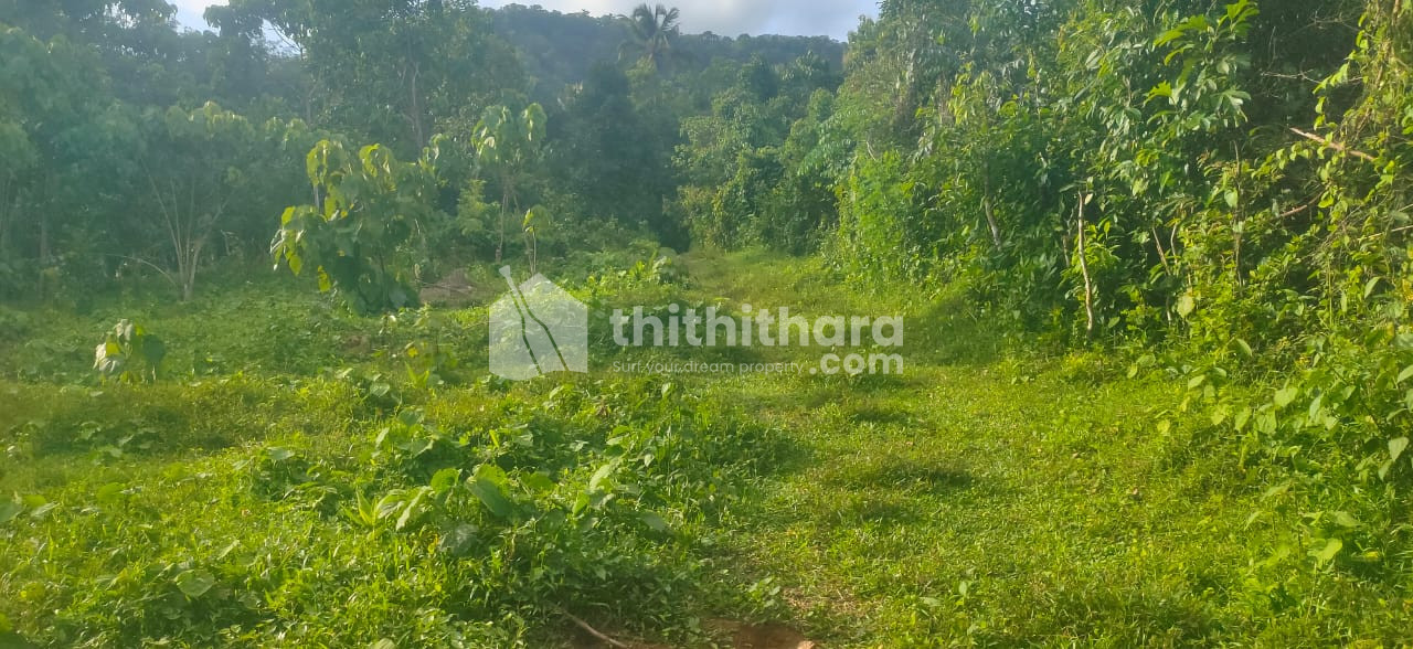 Commercial Plots available for Sale in Chalakudy Thrissur