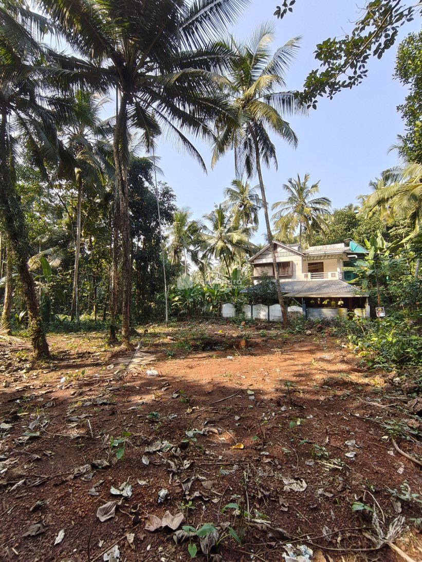 Residential Land for sale in medical college Kozhikode 
