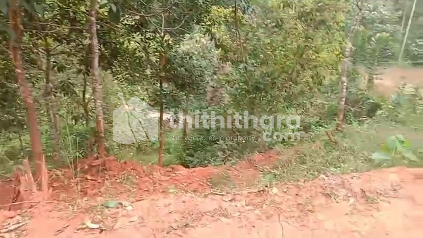 Residential Land for Sale in Devikulam Idukki