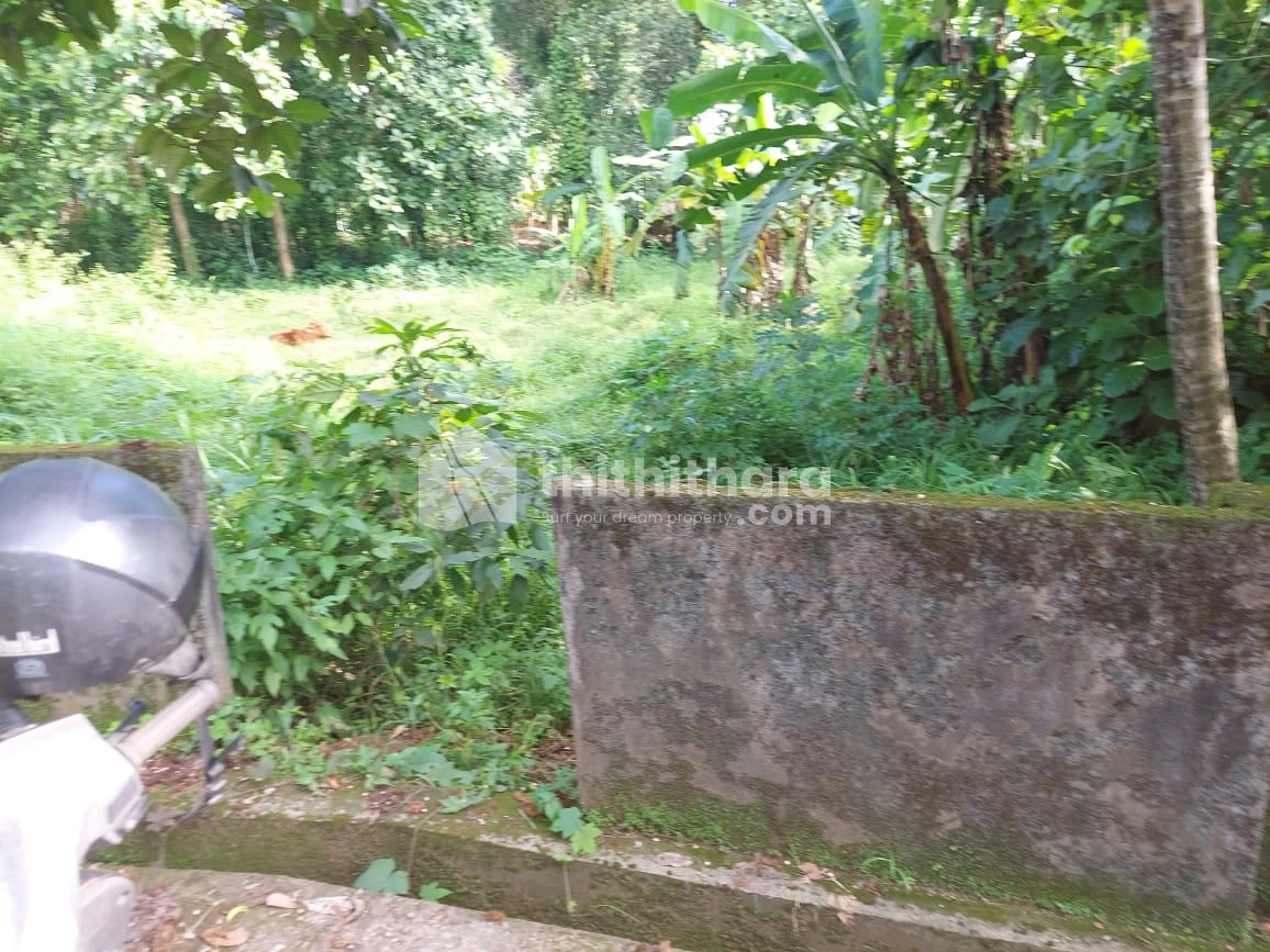 Prime residential land for sale in Perumbavoor.
