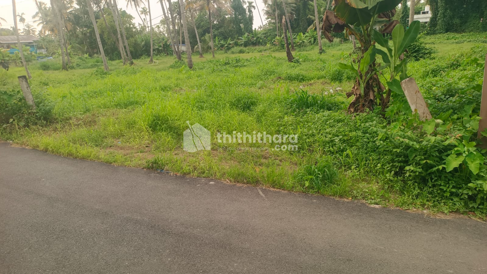 Residential Land for Sale in Edapally Ernakulam