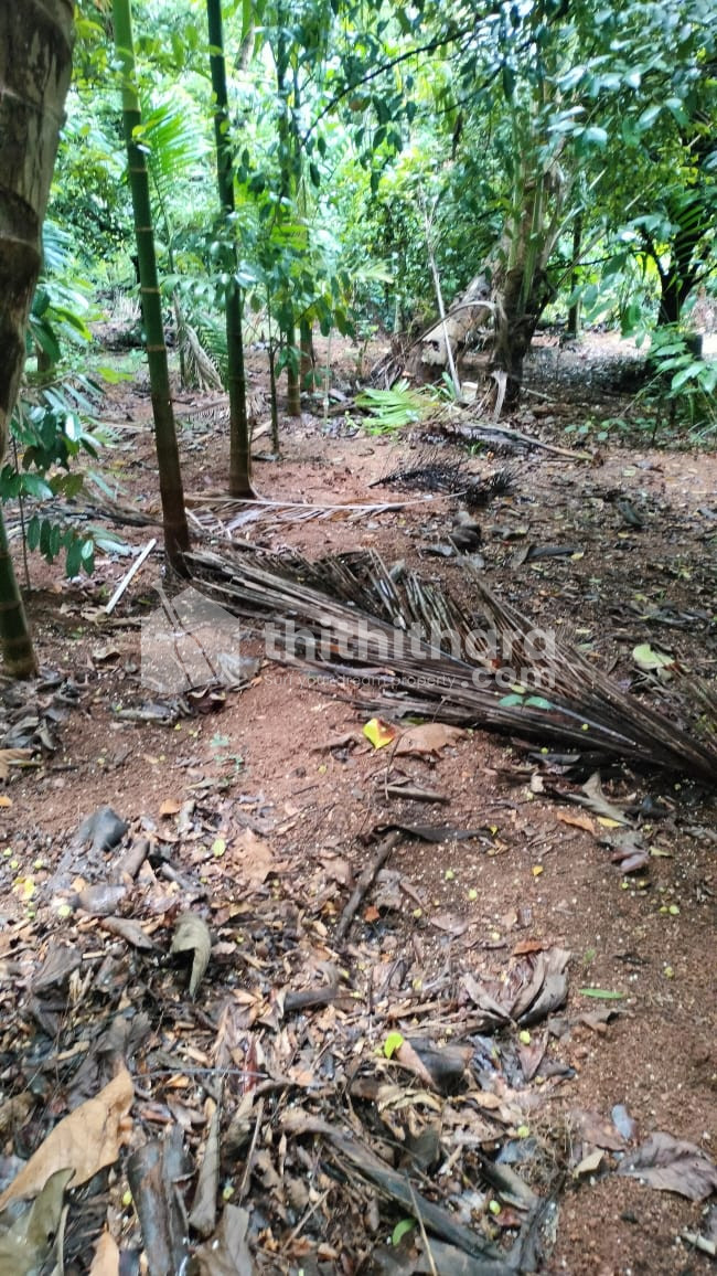 Residential Land for Sale in Chalakudy Thrissur