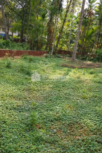 Residential Land for sale in Kuttiady Kozhikode 