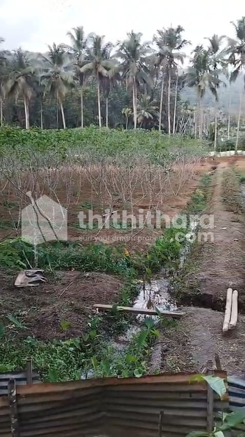 Residential Land for Sale in Pathanapuram Kollam