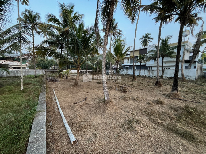 Land for Sale in Mathilakam Thrissur
