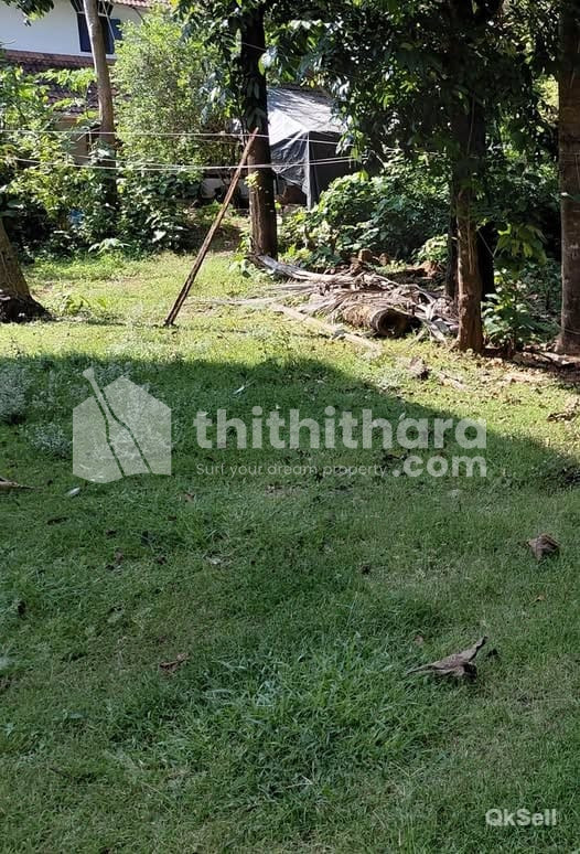 Residential Land for Sale in Chevarambalam Kozhikode