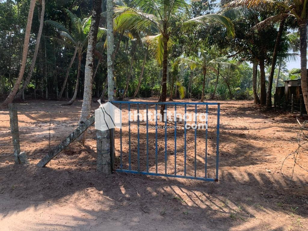 Residential Land for Sale in Mavelikkara Alappuzha