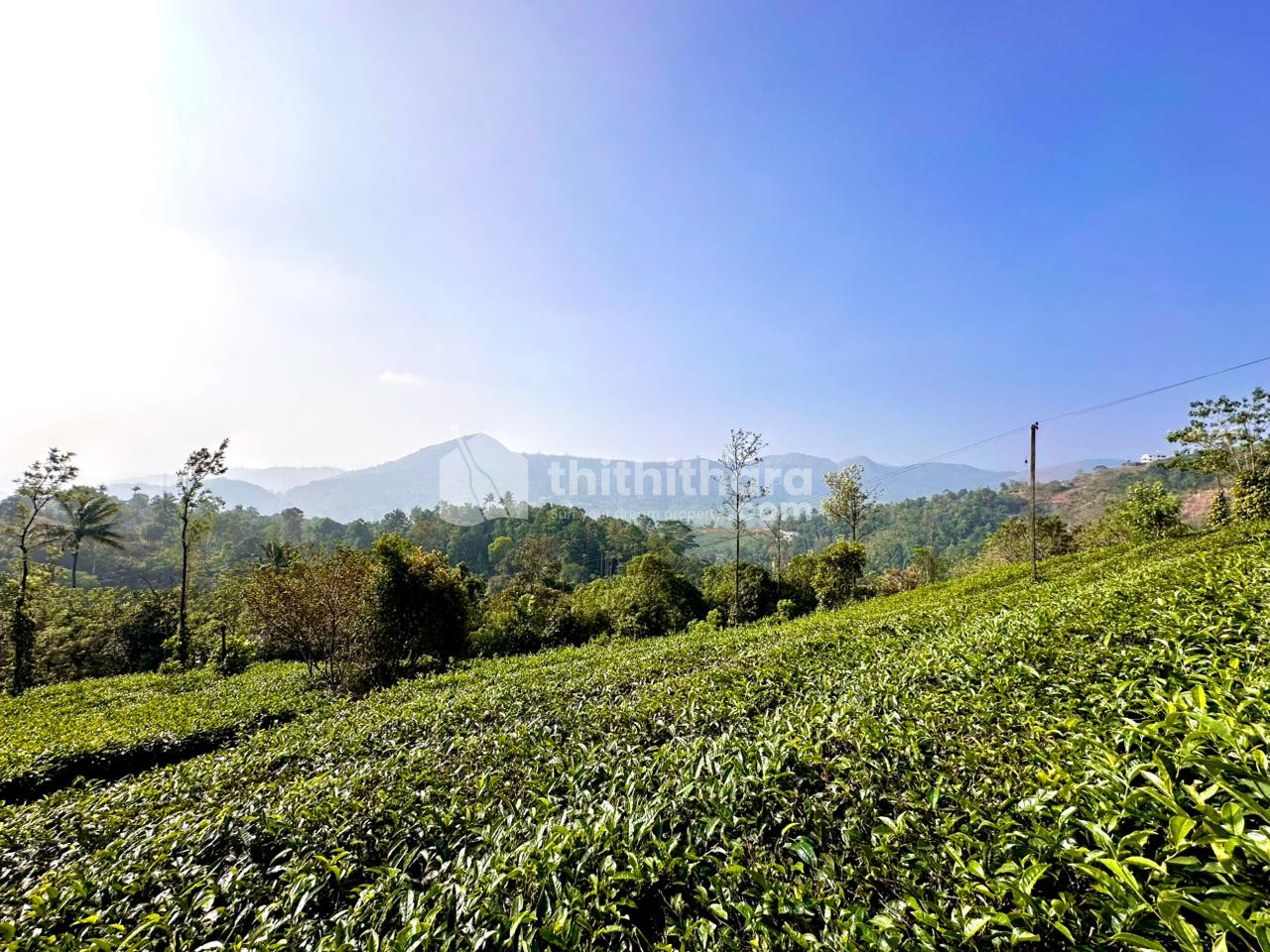 6 Acres Agricultural Land Available for Sale in Vagamon Idukki 