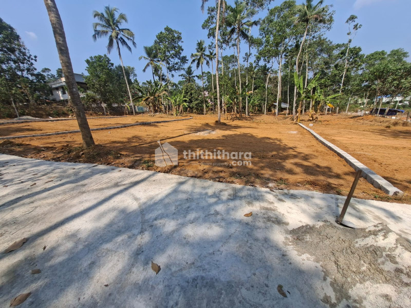 Land for Sale in Nedumangad Thiruvananthapuram